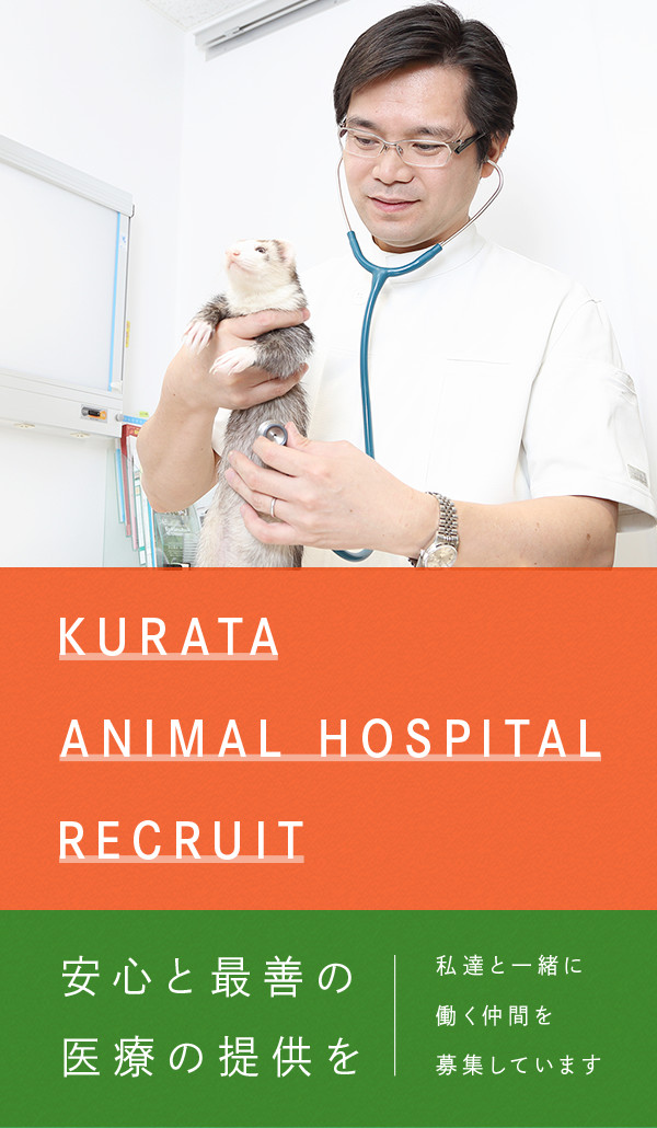 KURATA Animal Hospital RECRUIT 